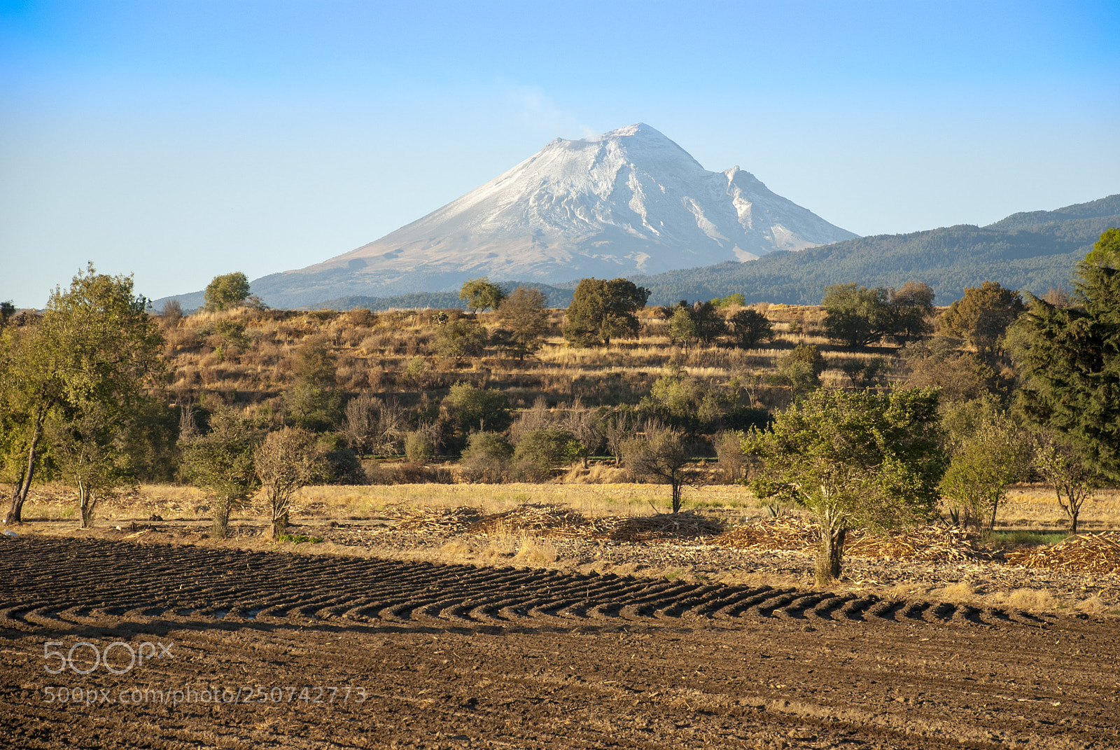 Nikon D80 sample photo. Popocatepetl photography
