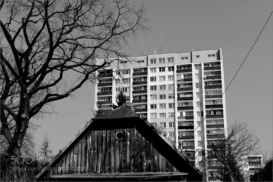 Nikon D610 sample photo. House tops photography