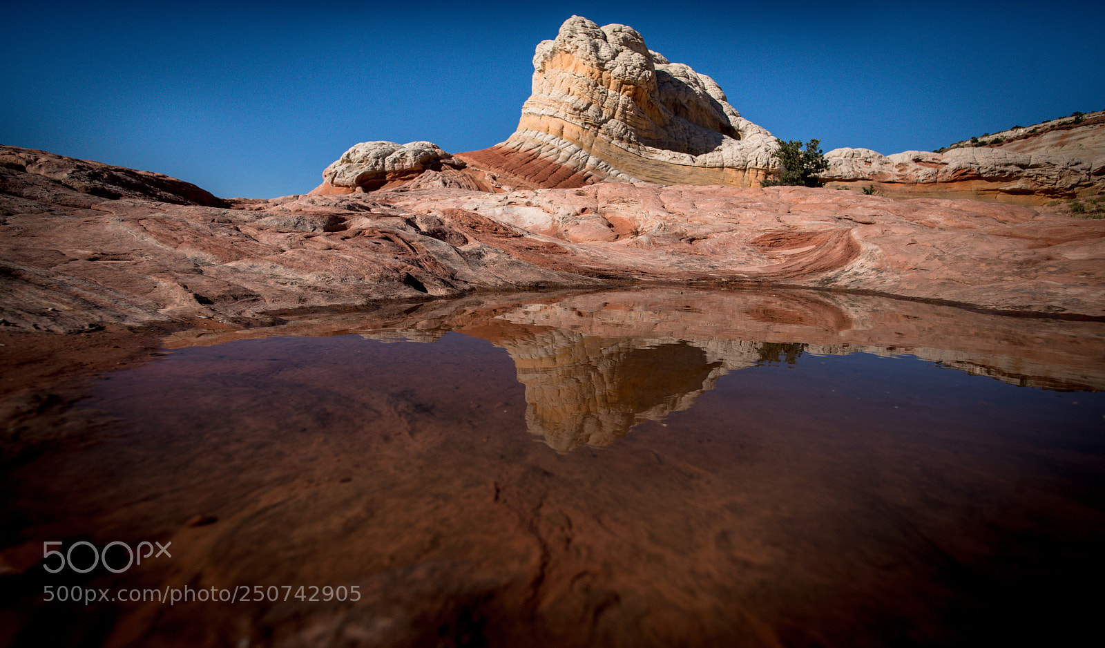 Nikon D800 sample photo. Magic land photography