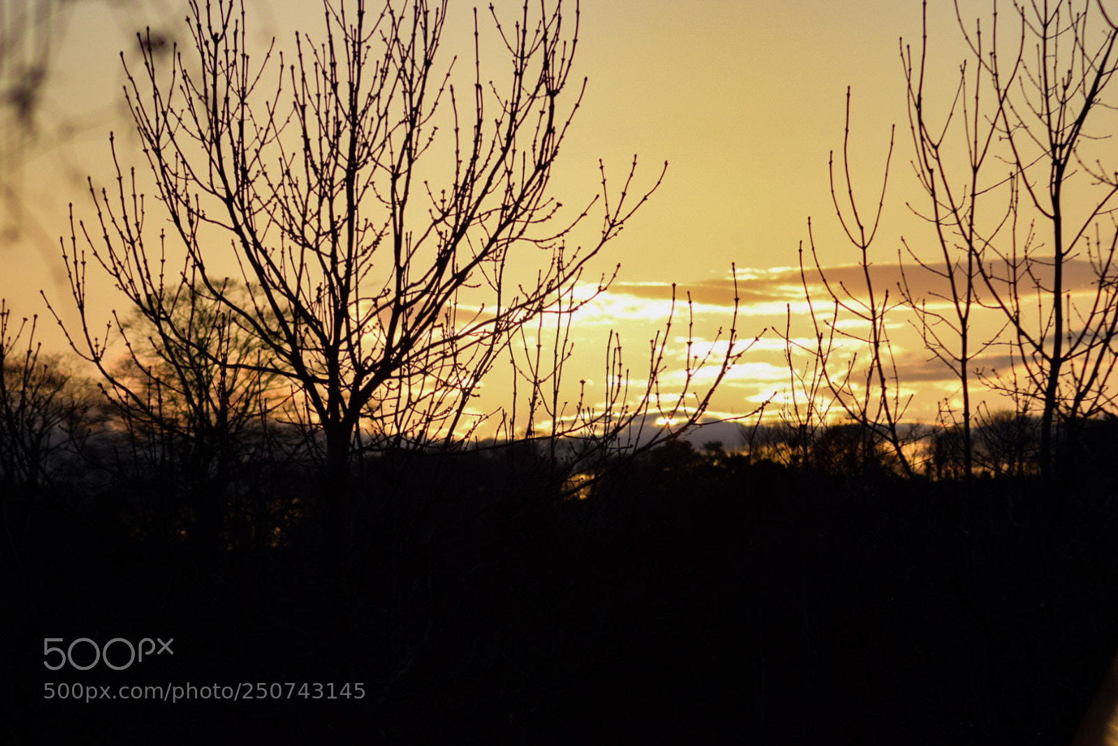 Nikon D5300 sample photo. Sunset photography