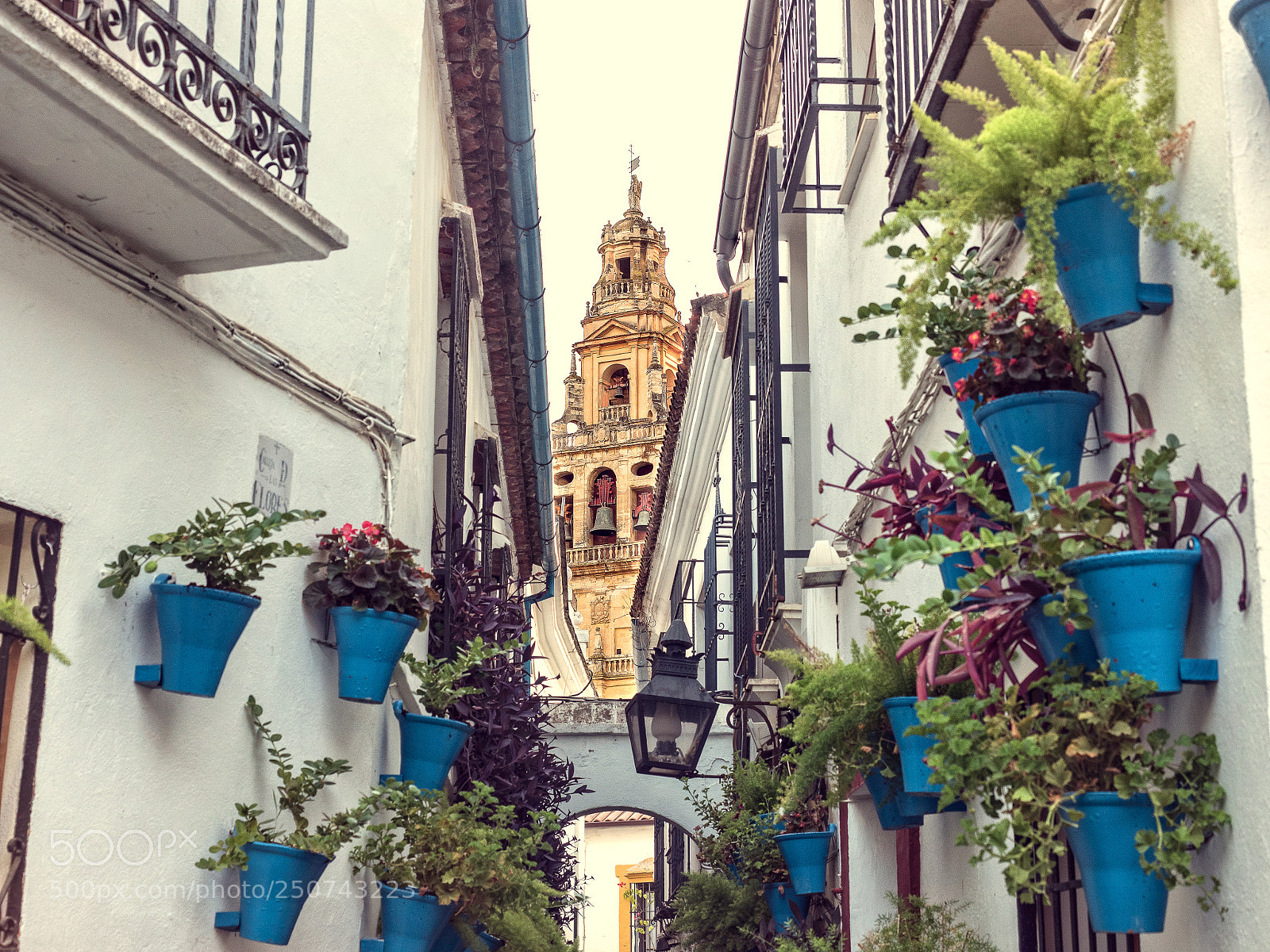 Olympus OM-D E-M5 II sample photo. Cordoba, calleja de las photography