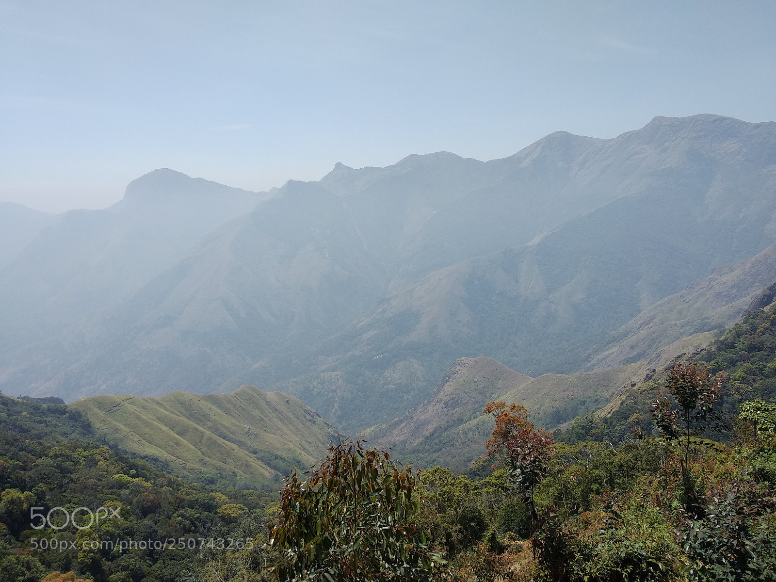 Xiaomi Mi A1 sample photo. Img_20180304_115036.jpg photography