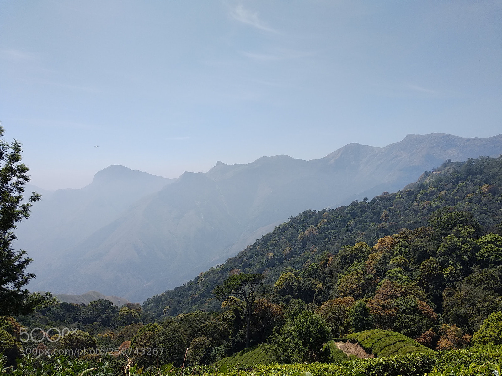 Xiaomi Mi A1 sample photo. Img_20180304_114806.jpg photography