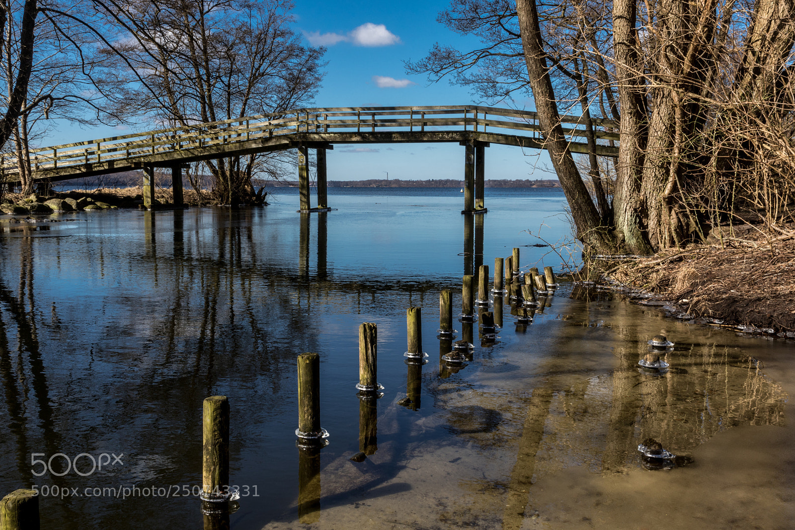 Canon EOS 7D Mark II sample photo. Winter and spring is photography