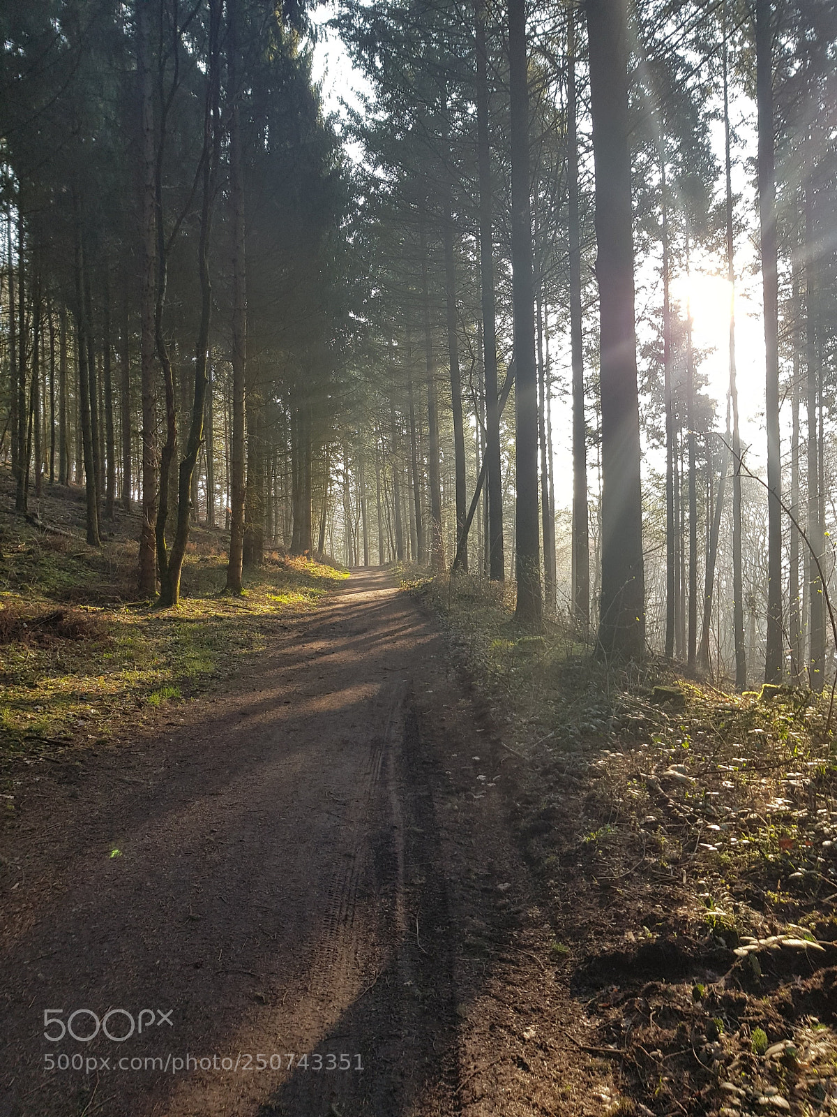 Samsung Galaxy S8 sample photo. Ce jour chemin de photography