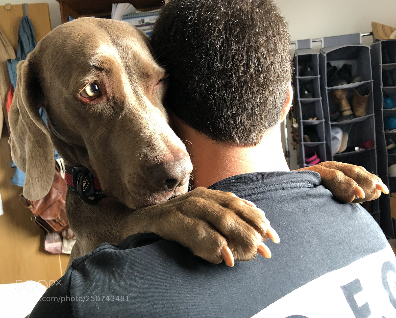 Apple iPhone X sample photo. Scooby-doo photography