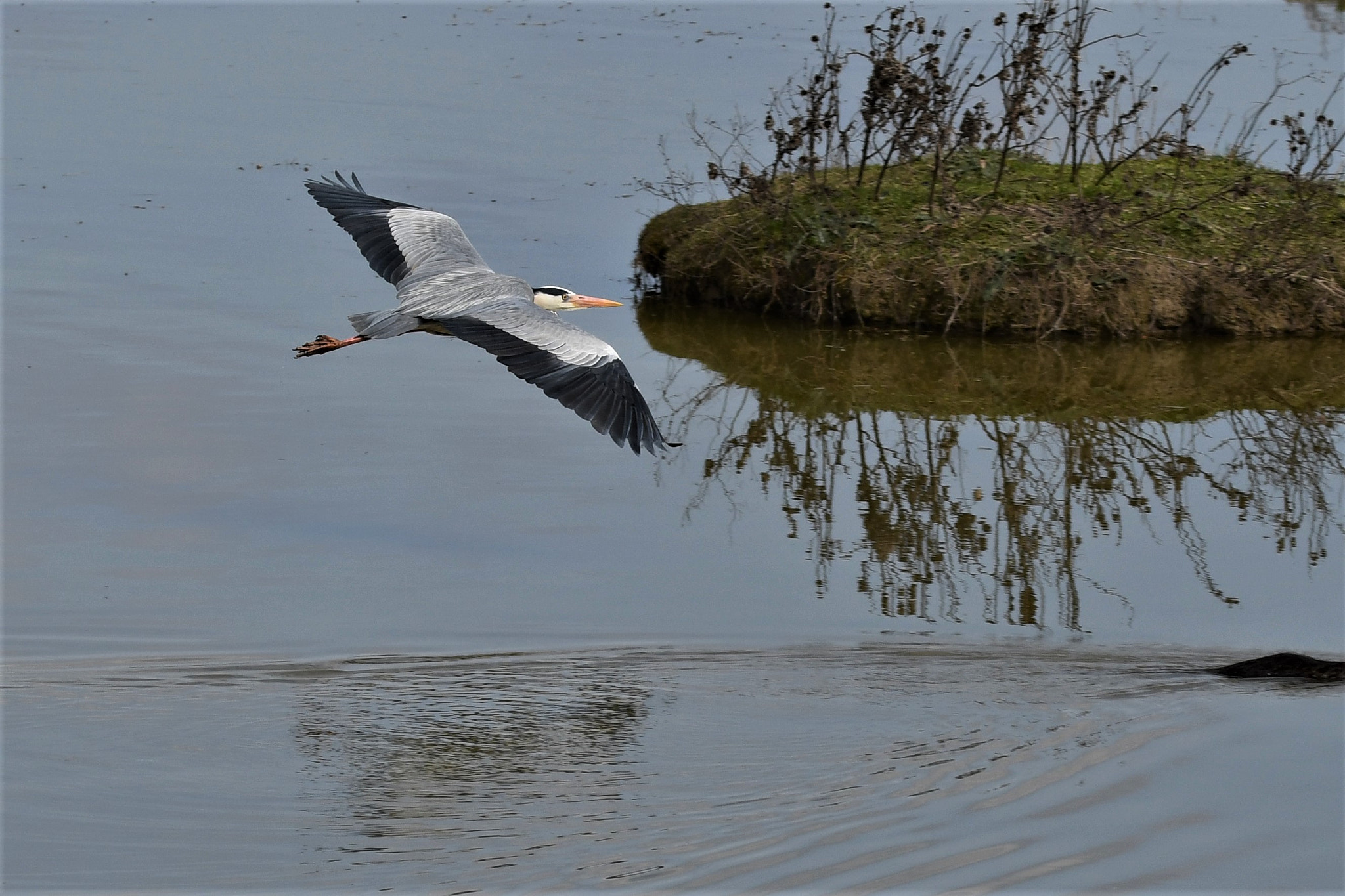 Nikon D7500 sample photo. Flight photography