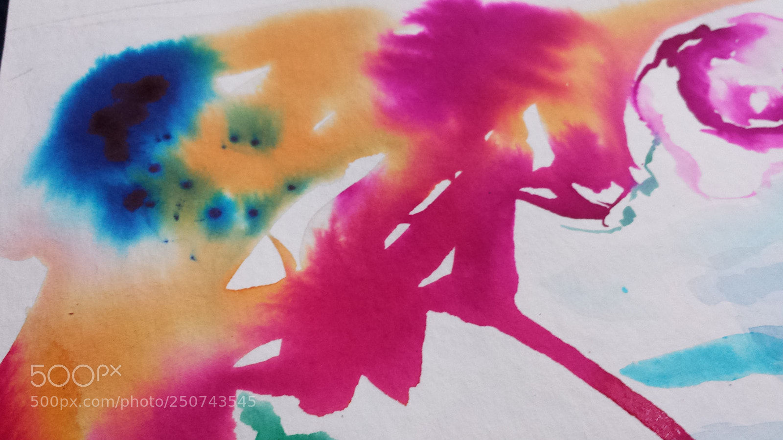 Samsung Galaxy S4 sample photo. Untitled photography