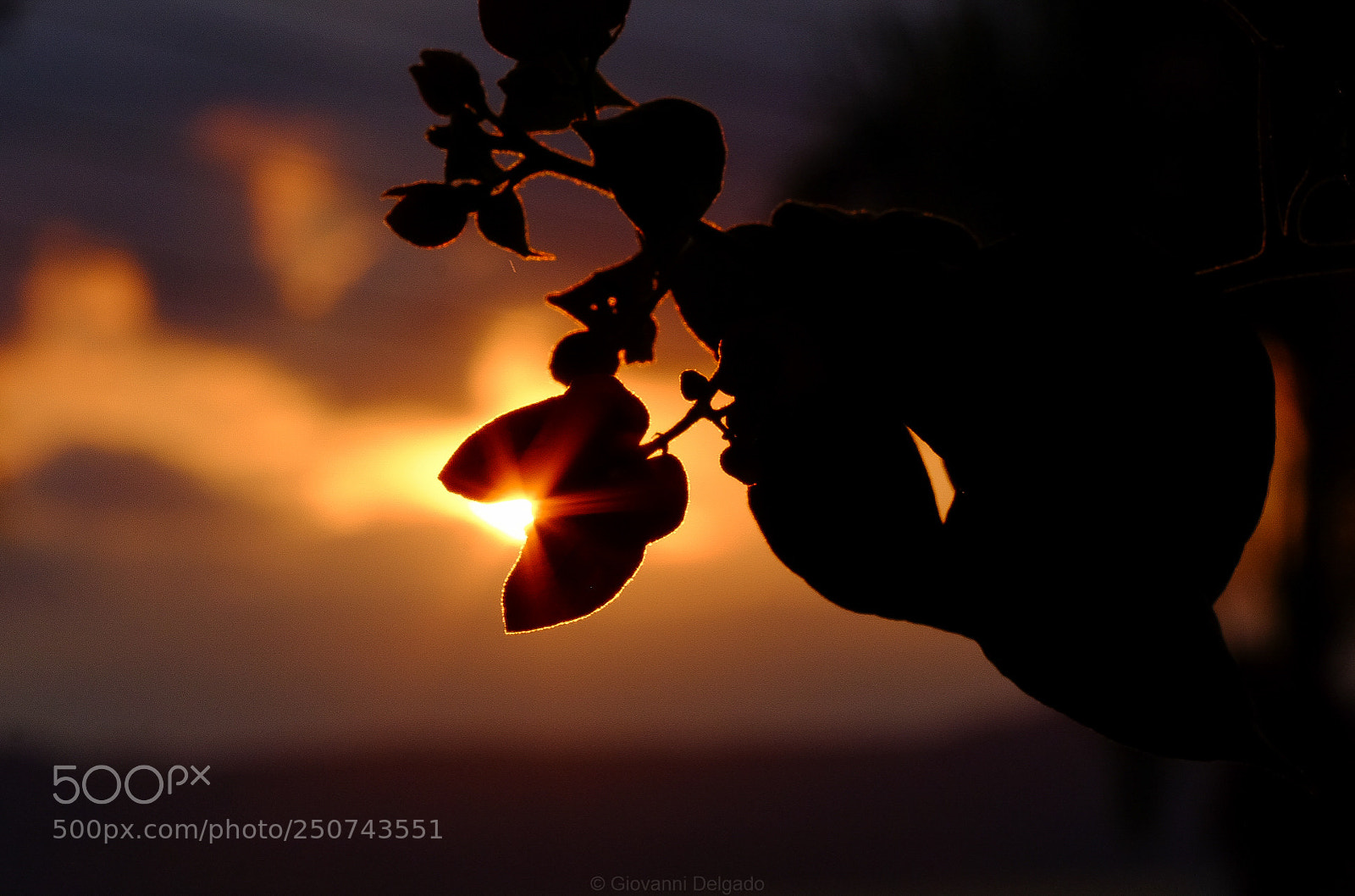 Fujifilm X-T1 sample photo. Untitled photography