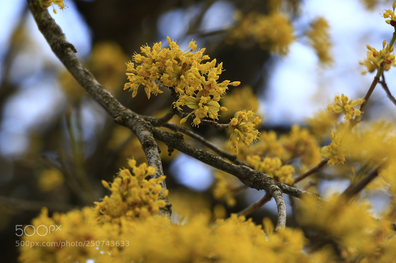 Canon EOS 70D sample photo. Untitled photography