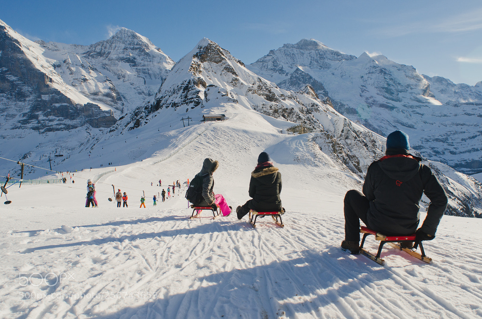 Nikon D7000 sample photo. Sledging in switzerland photography