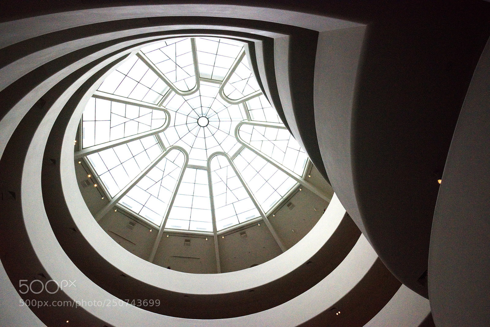 Nikon D810 sample photo. Guggenheim i photography