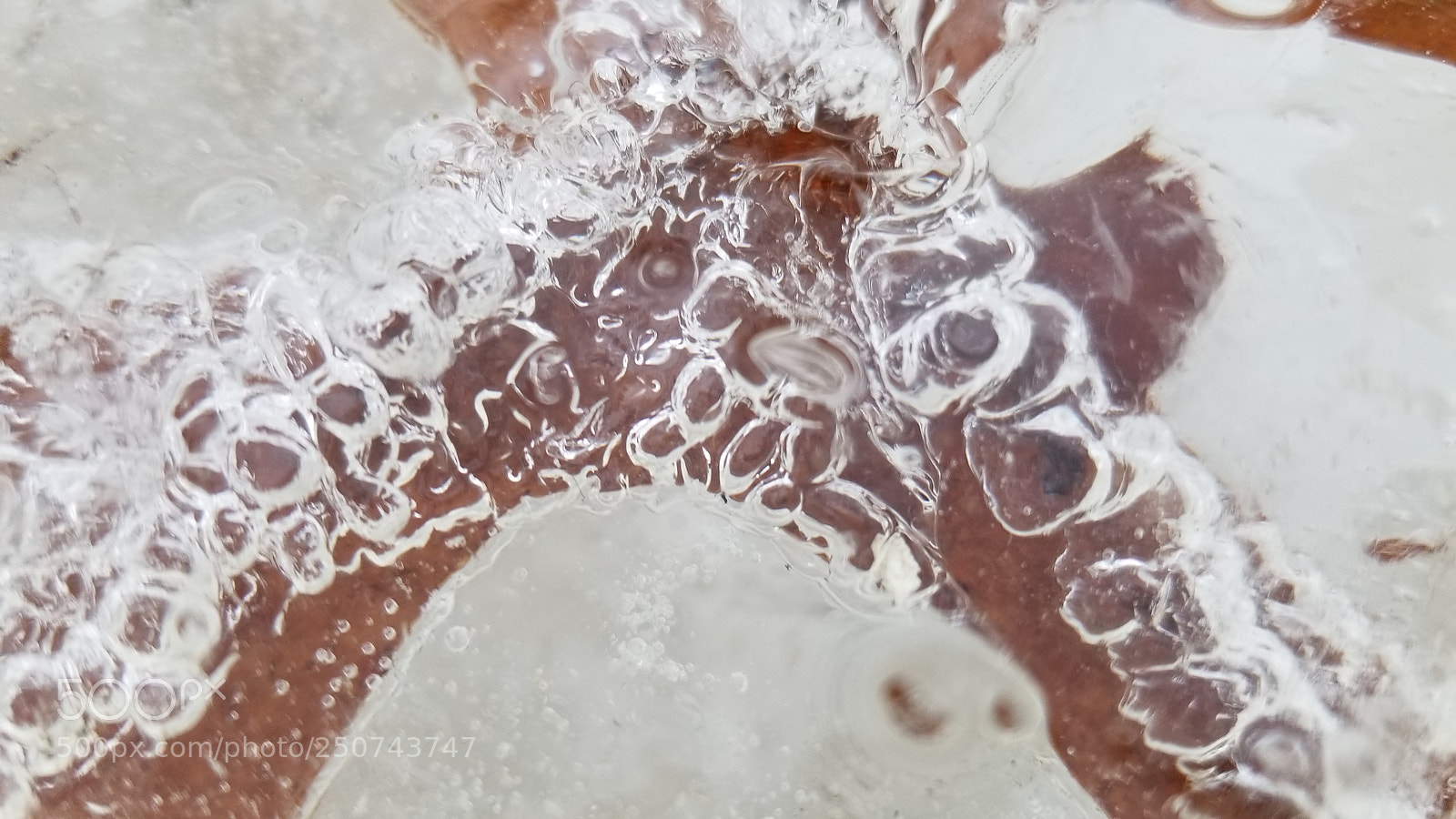Samsung Galaxy S8 sample photo. Ice leaf photography