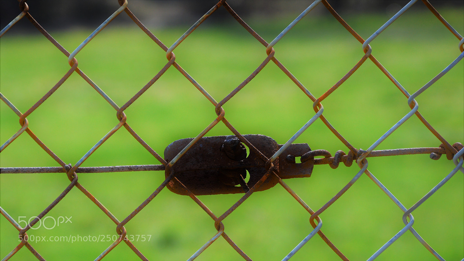 Nikon D3200 sample photo. Untitled photography