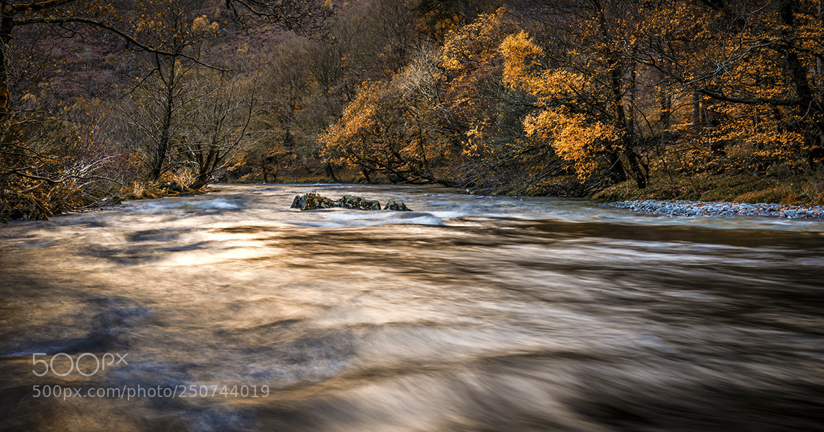 Nikon D810 sample photo. Autumn by the river photography