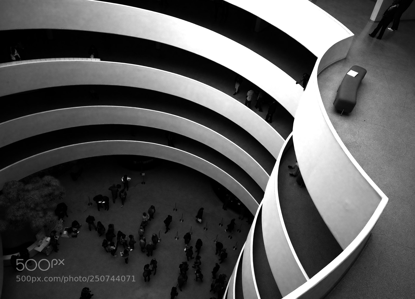 Nikon D810 sample photo. Guggenheim ii photography