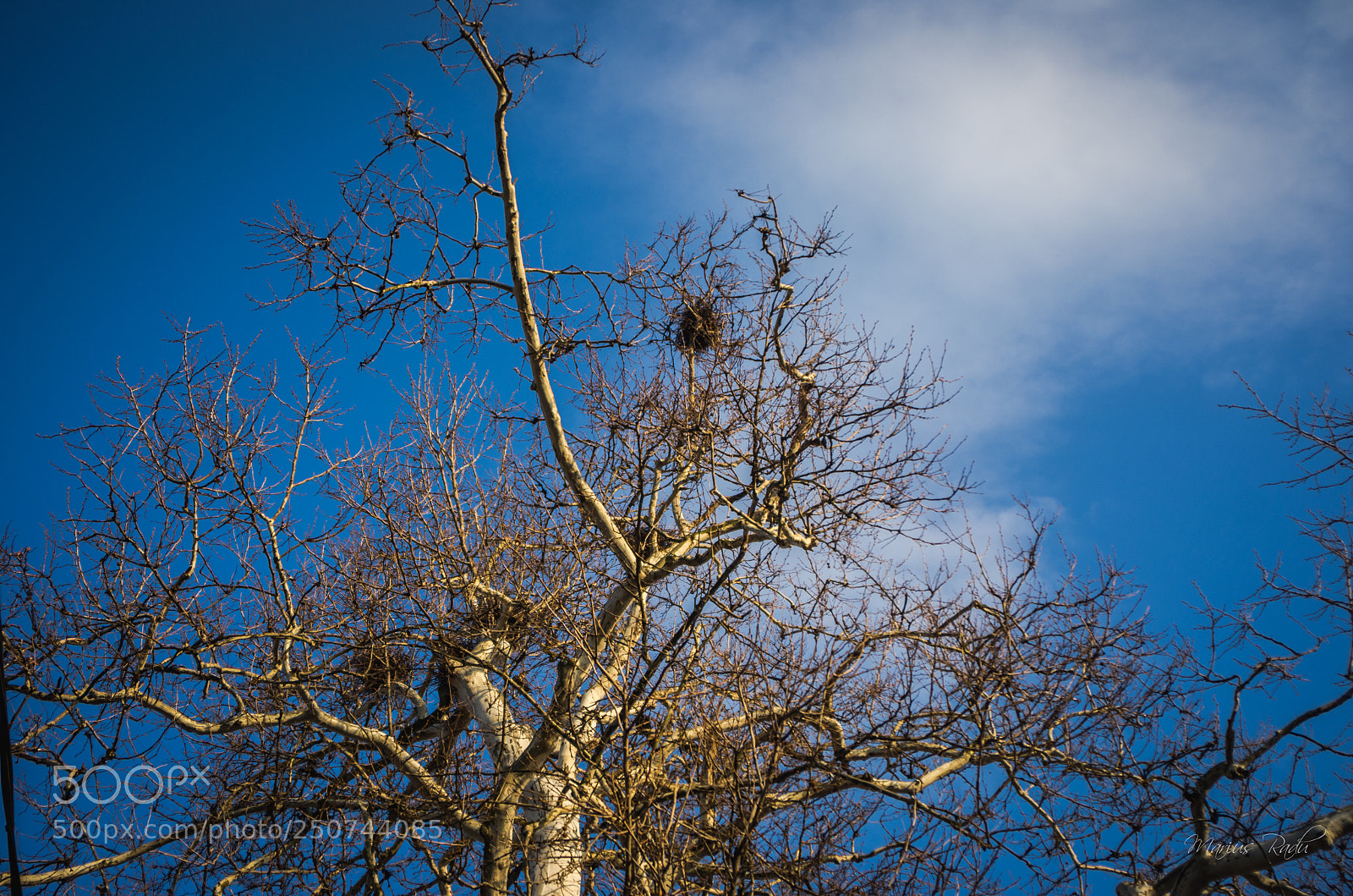 Pentax K-5 sample photo. Blue sky photography