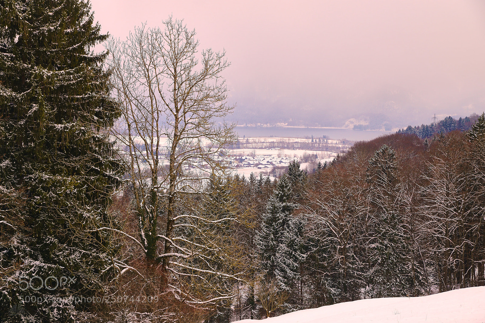 Sony ILCA-77M2 sample photo. Cold morning photography