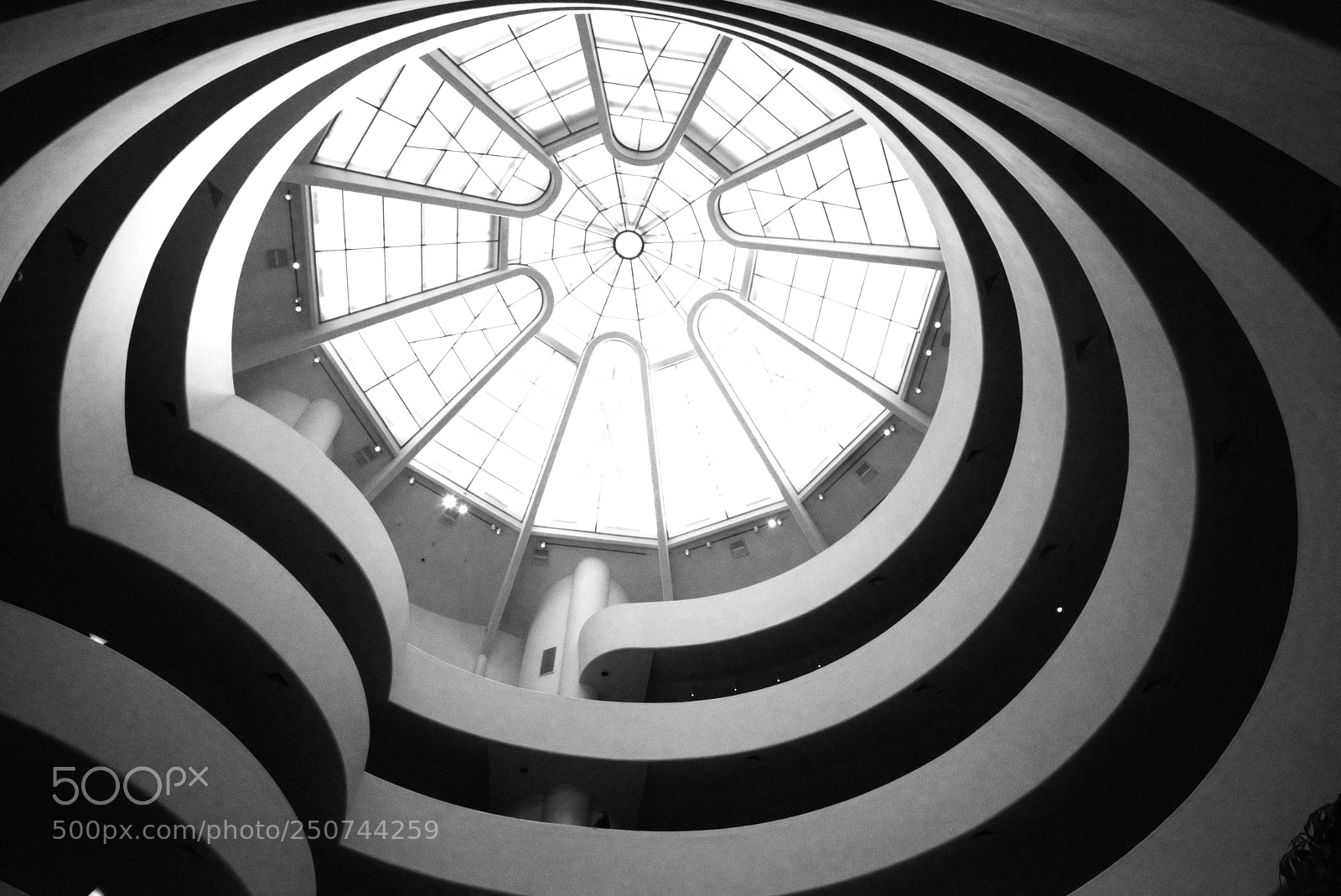 Nikon D810 sample photo. Guggenheim iii photography