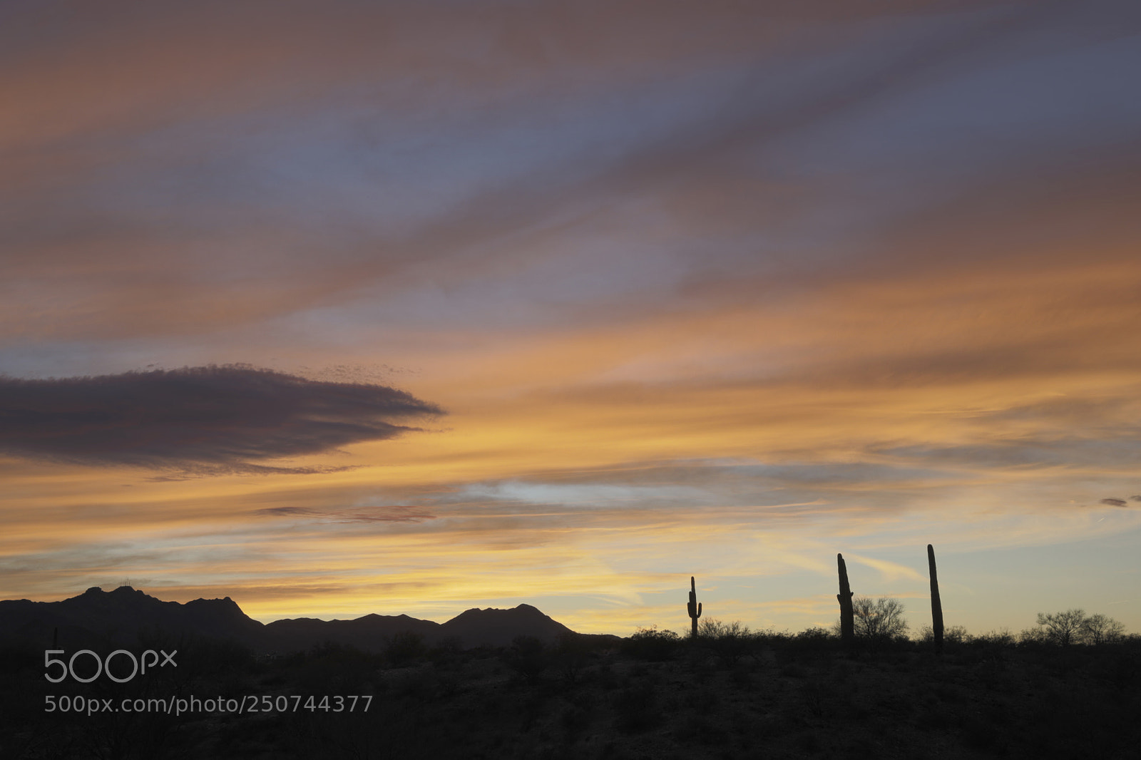 Canon EOS 5D Mark IV sample photo. End of day sonoran photography