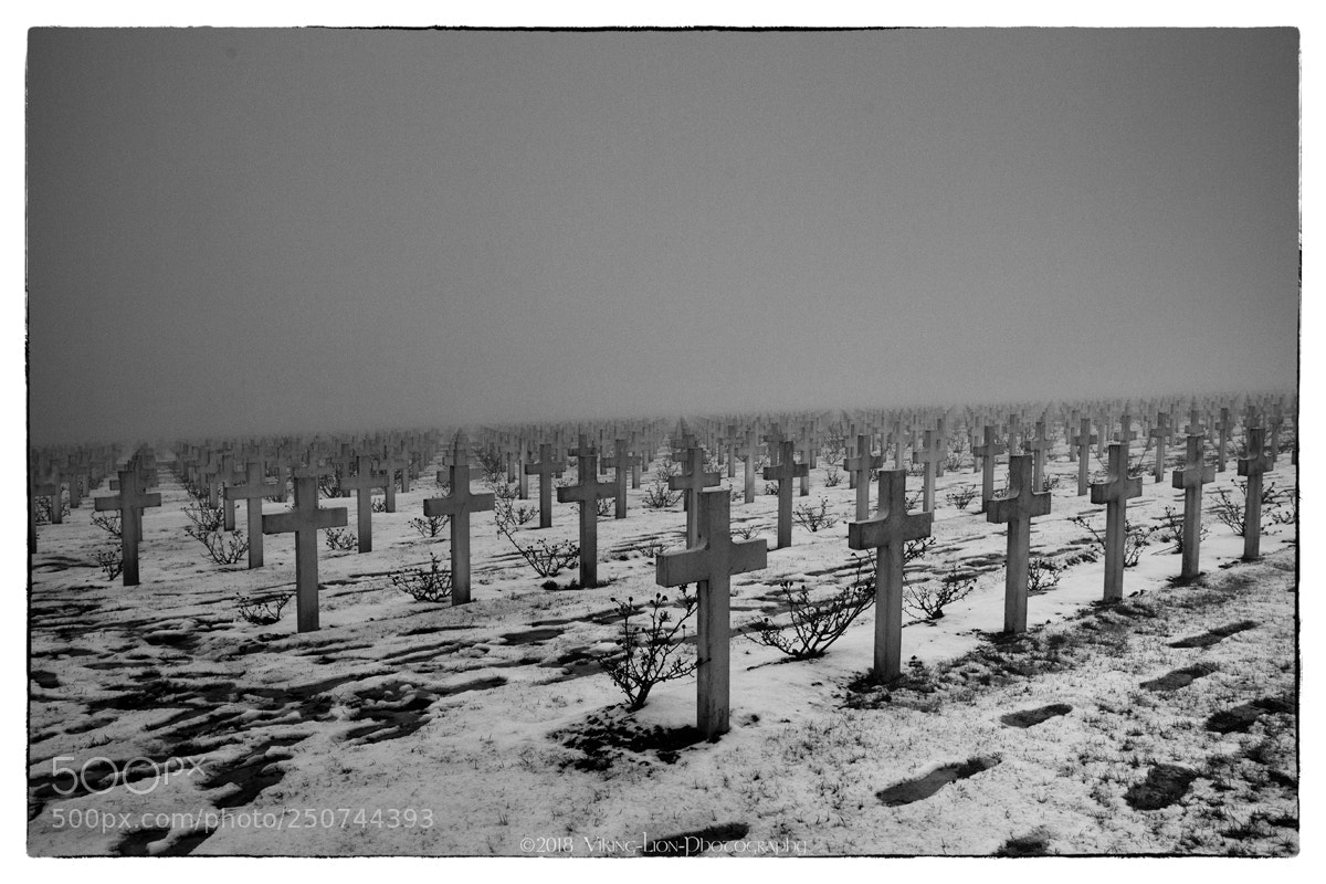 Canon EOS 5D Mark II sample photo. In memoriam photography