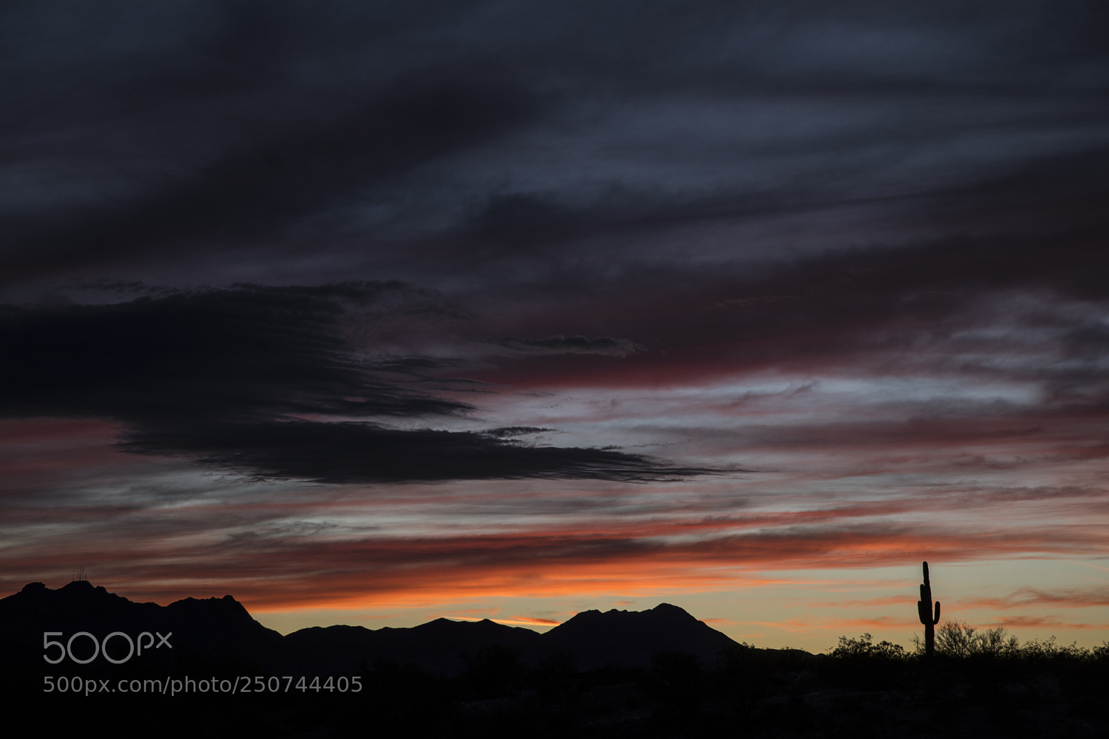 Canon EOS 5D Mark IV sample photo. End of day sonoran photography