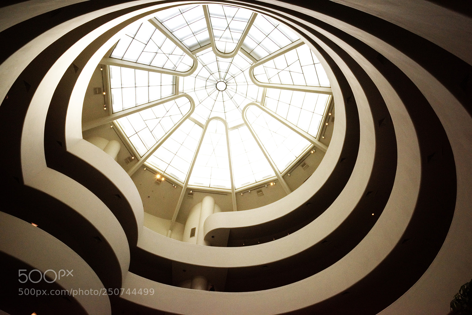 Nikon D810 sample photo. Guggenheim iv photography