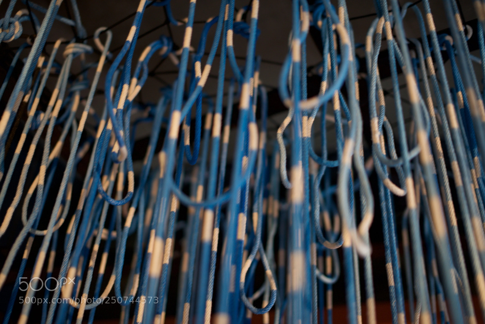 Nikon D610 sample photo. Blue ropes photography