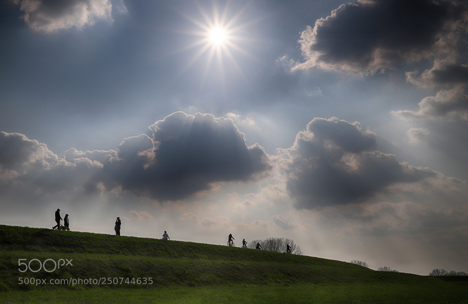 Canon EOS 6D Mark II sample photo. L'argine photography
