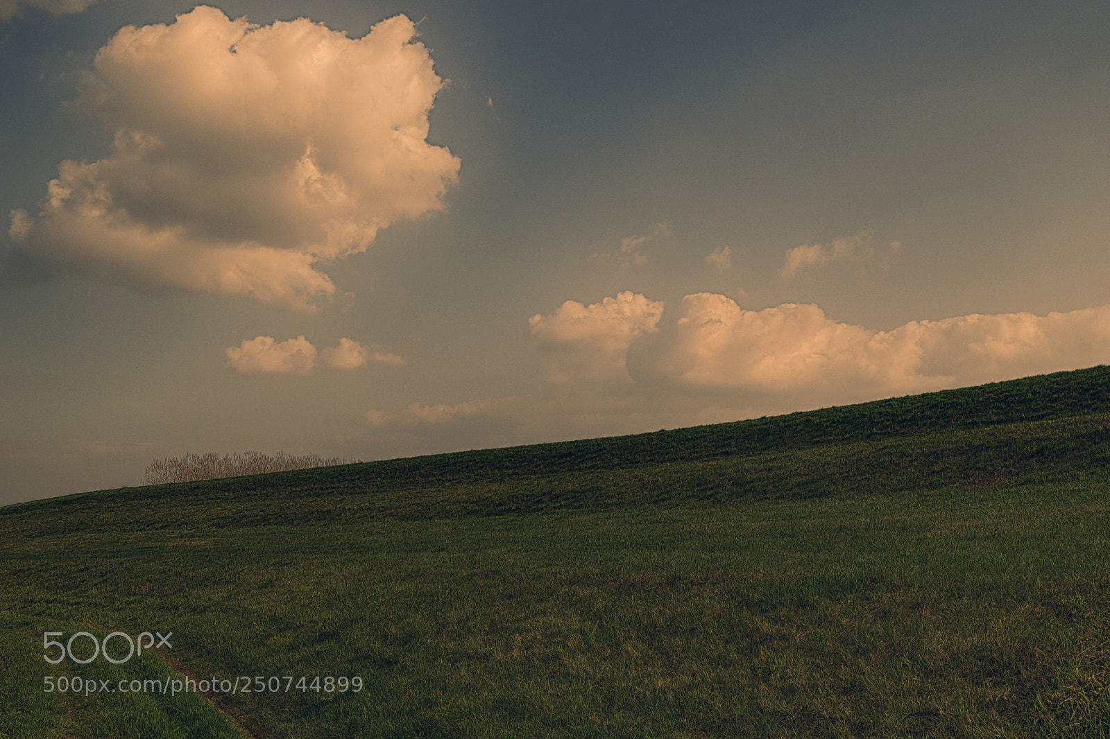 Canon EOS 6D Mark II sample photo. Country photography