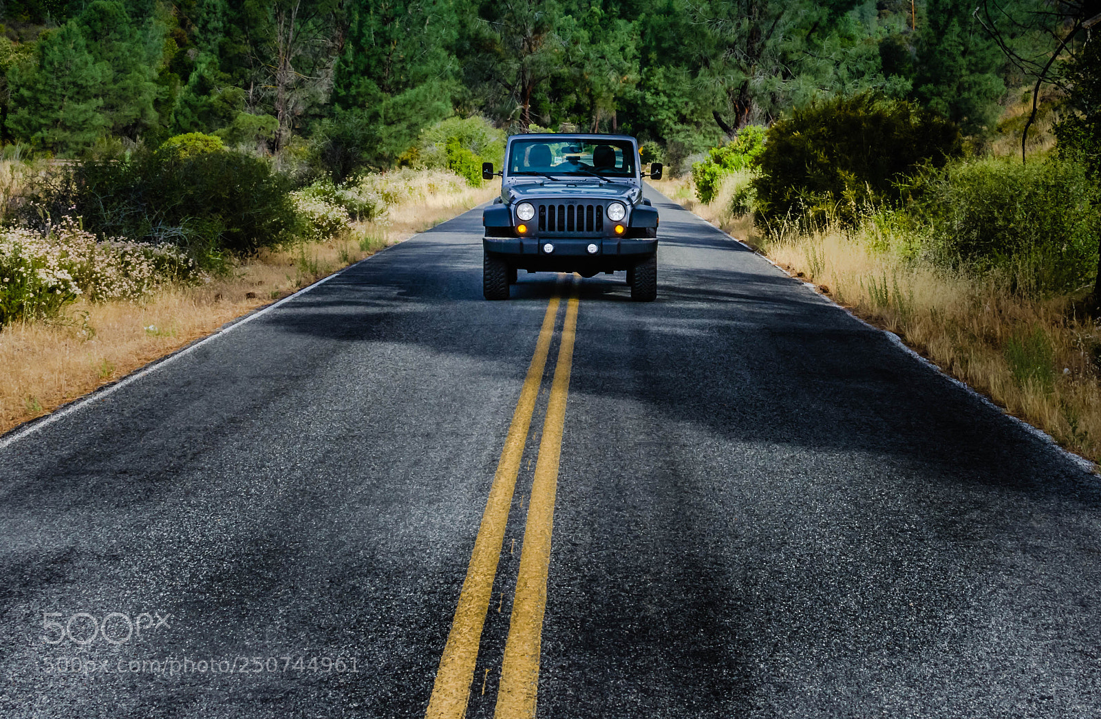 Nikon D7000 sample photo. Enjoy the ride!!!! photography