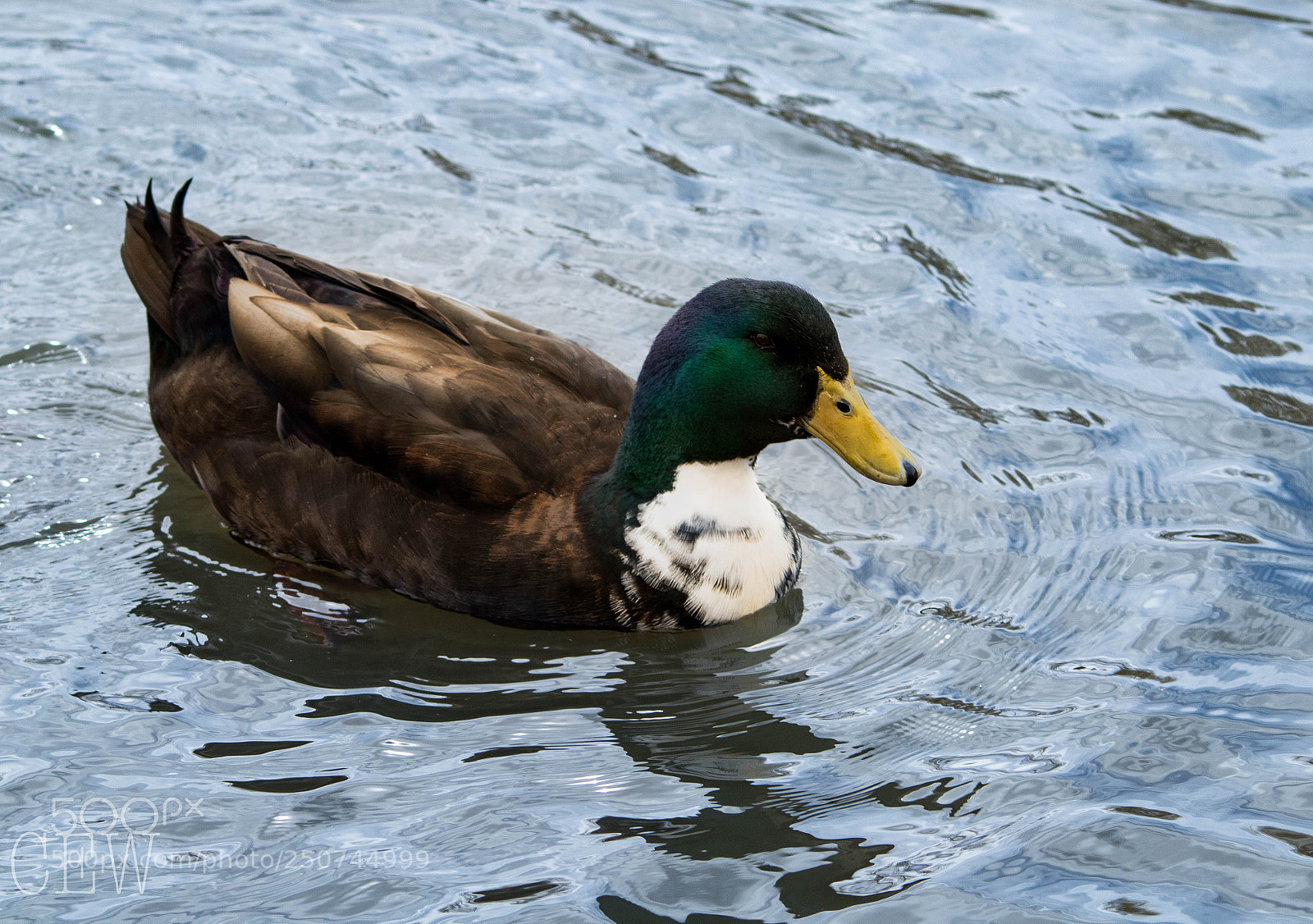 Canon EOS 760D (EOS Rebel T6s / EOS 8000D) sample photo. Ashley pond, los alamos photography