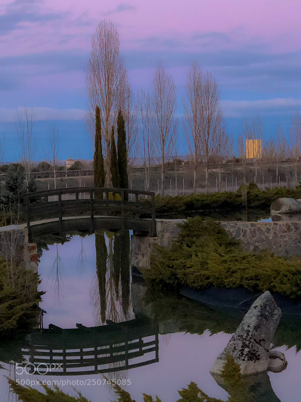 Apple iPhone X sample photo. A bridge photography