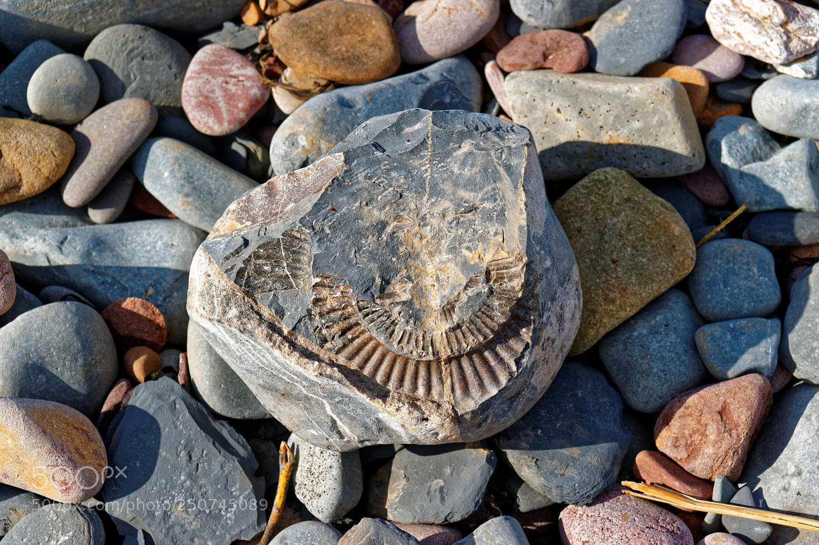 Sony Alpha DSLR-A900 sample photo. Whispers of past mysteries photography