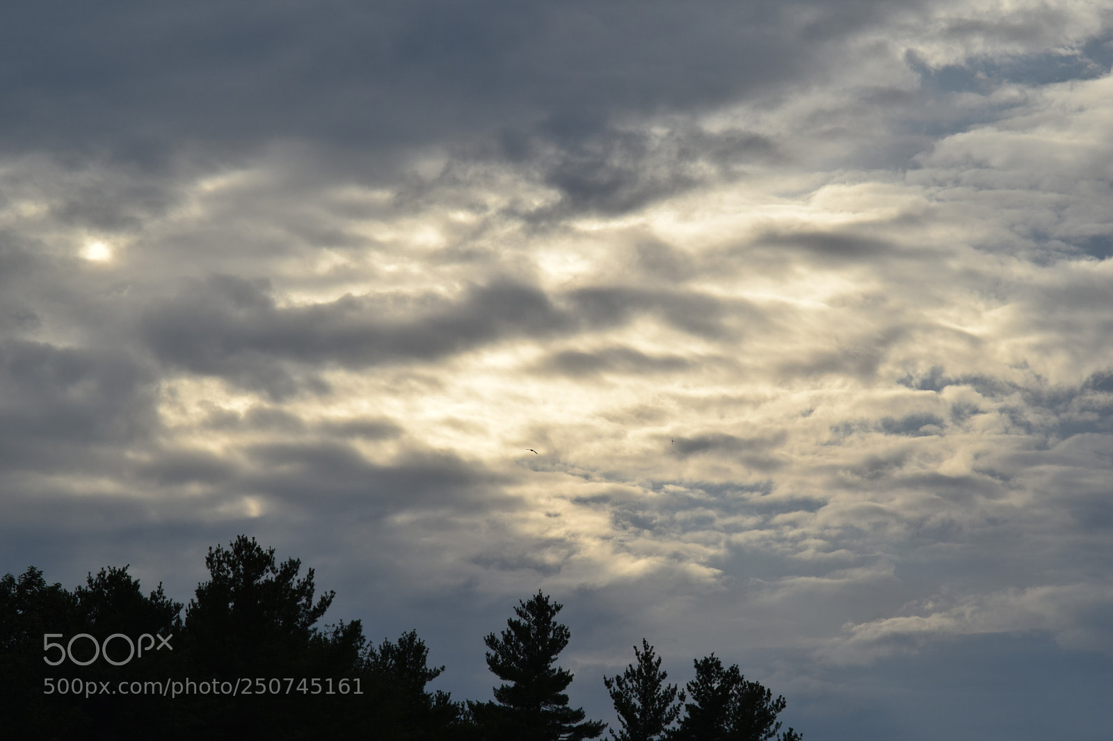 Nikon D3300 sample photo. Night cloudscpe photography