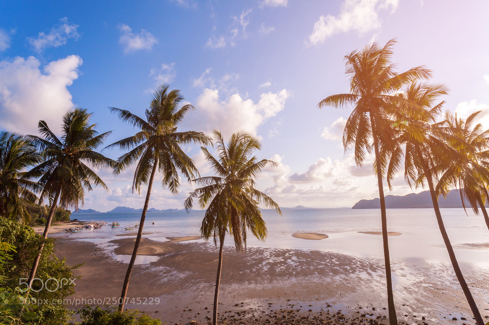 Canon EOS 5D Mark II sample photo. Img photography