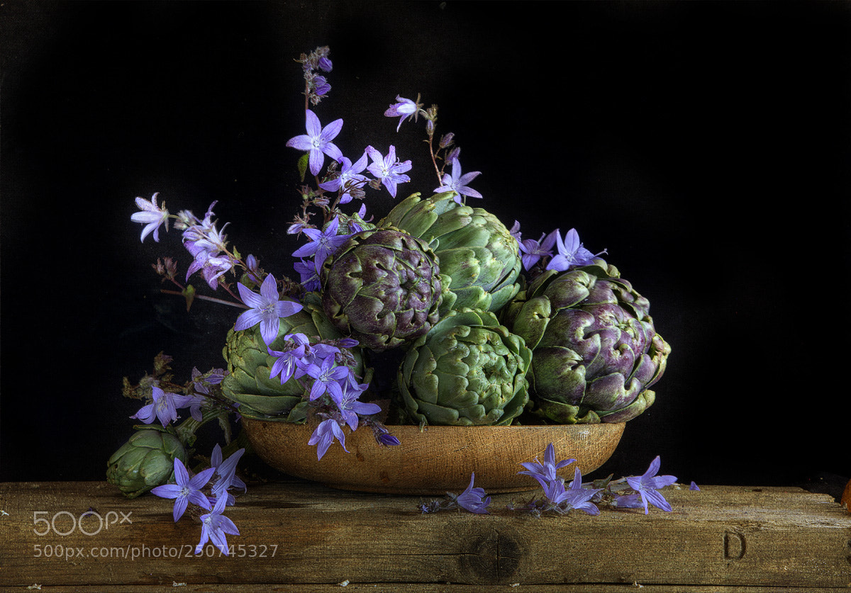 Canon EOS 5D Mark II sample photo. Artichokes and campanula photography