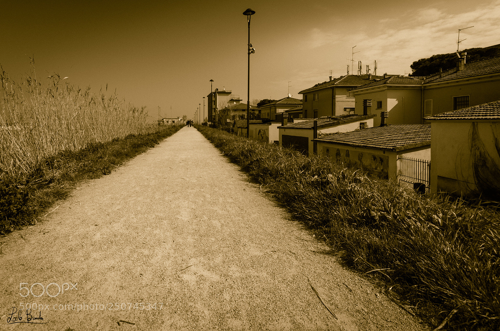 Nikon D5100 sample photo. Sentiero del fiume photography
