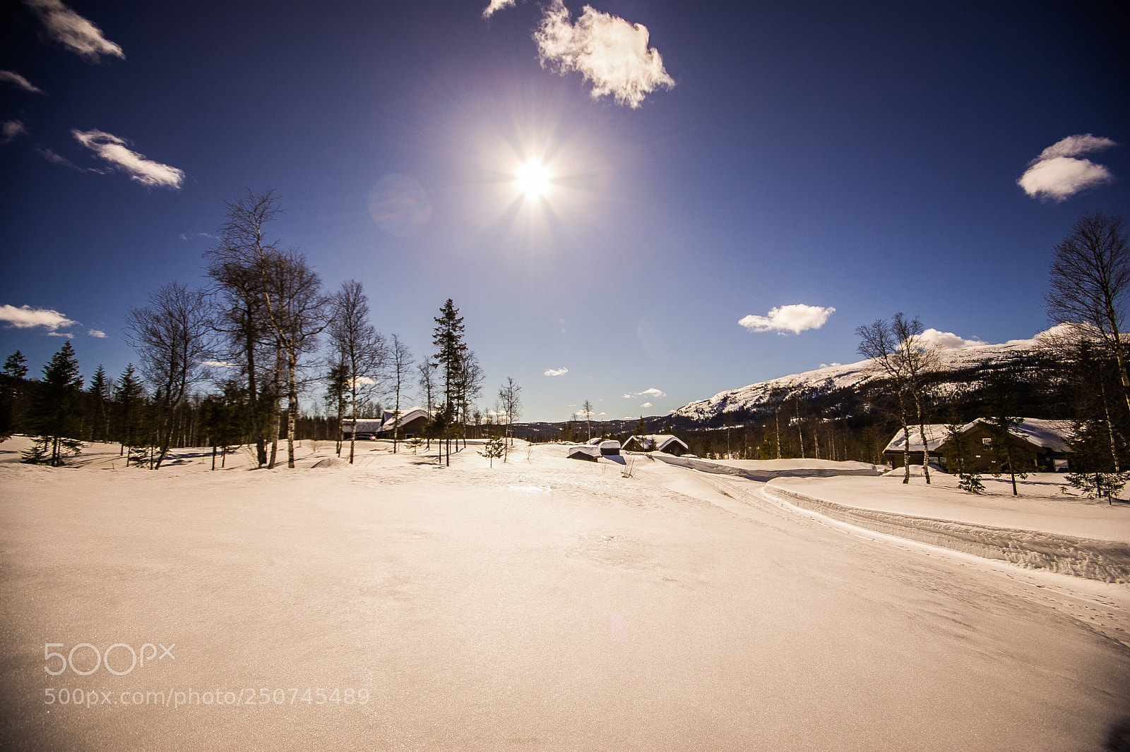 Canon EOS-1D Mark II sample photo. Winters end  photography