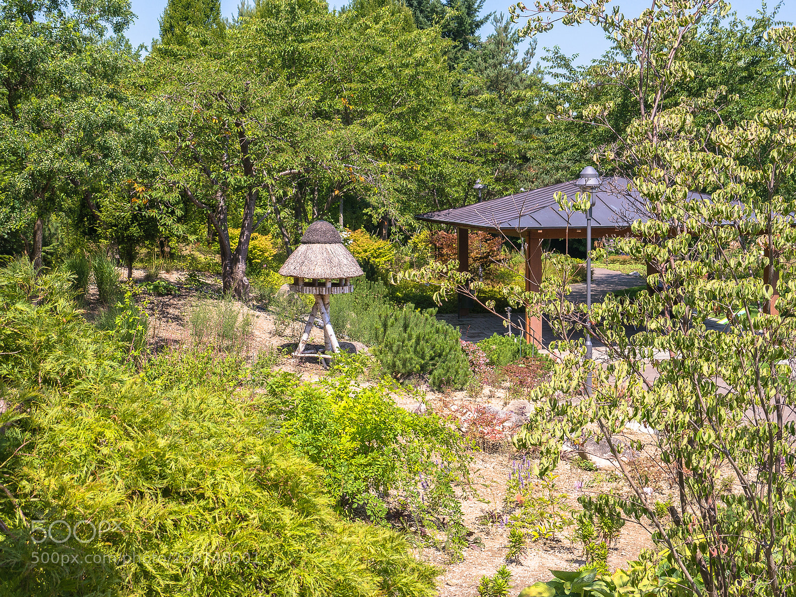 Panasonic Lumix DMC-G5 sample photo. Dehner blumenpark photography