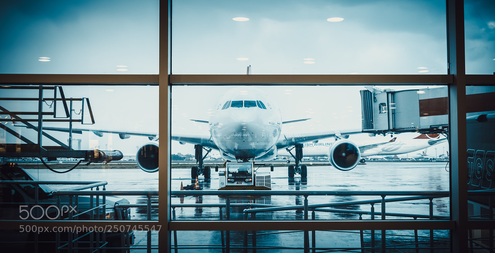 Nikon D5300 sample photo. Ready to fly ? photography