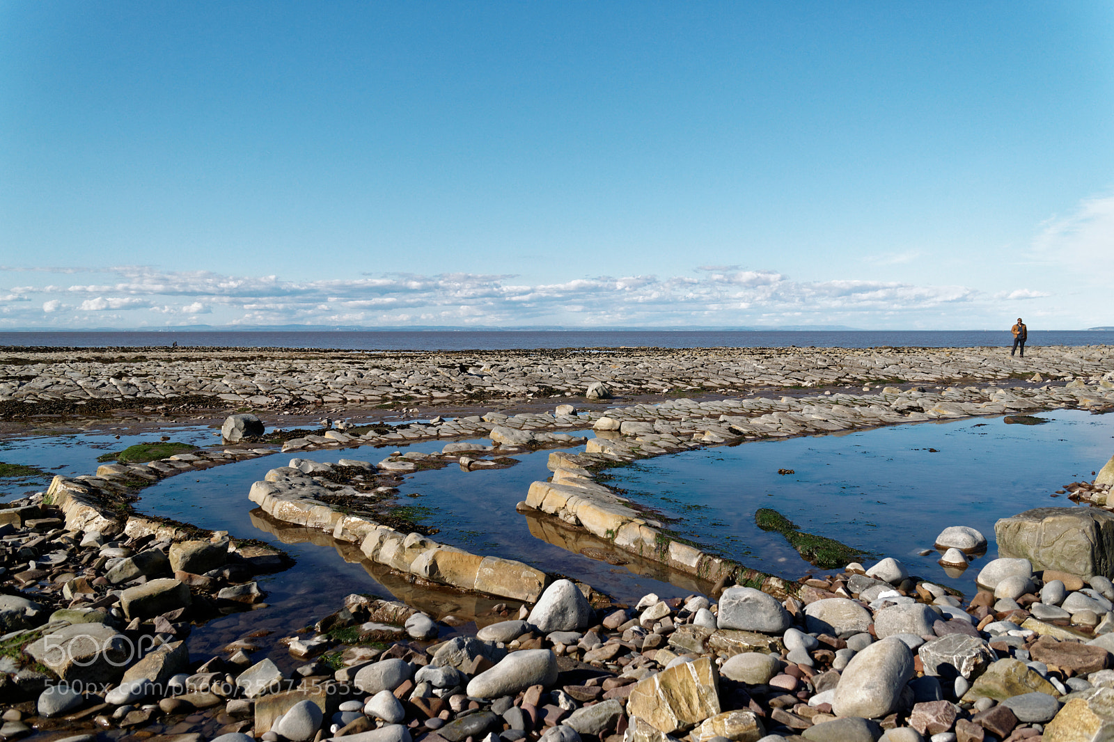Sony Alpha DSLR-A900 sample photo. The fossil hunter photography