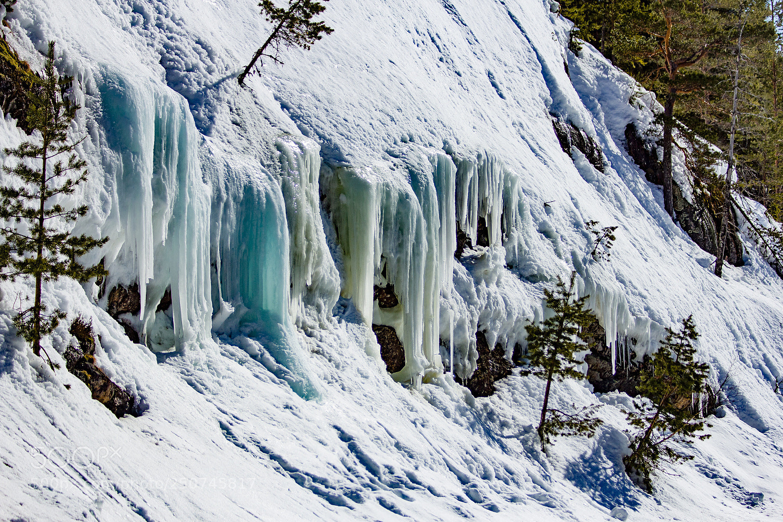 Canon EOS 60D sample photo. Purest ice  photography