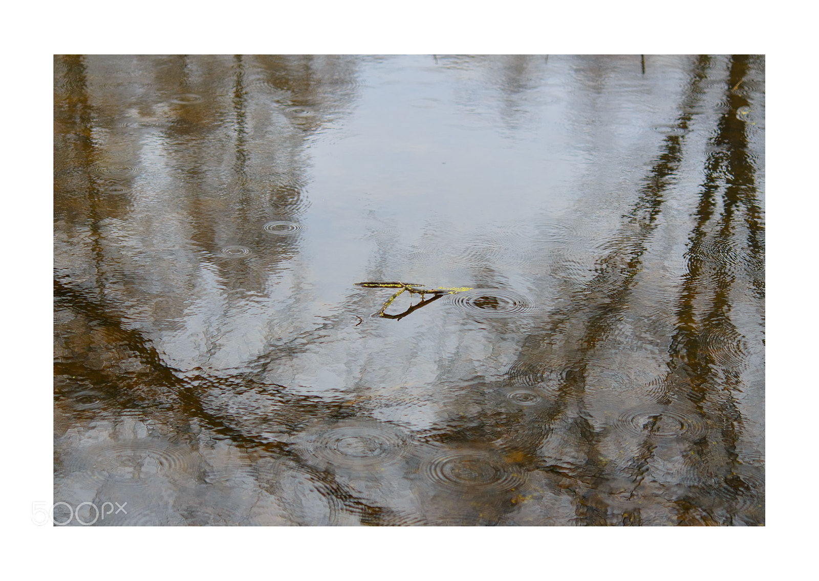 Nikon D7000 sample photo. Rainy days ... photography