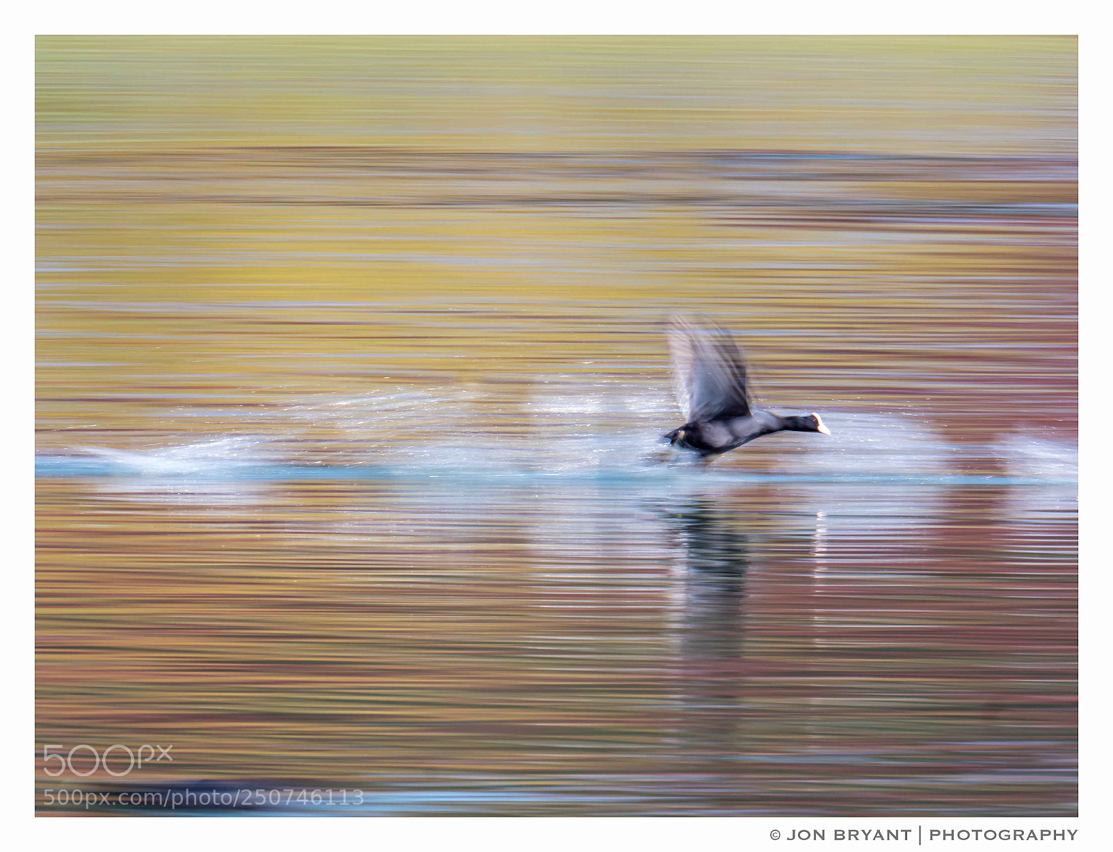 Panasonic Lumix DC-G9 sample photo. Walking on water photography