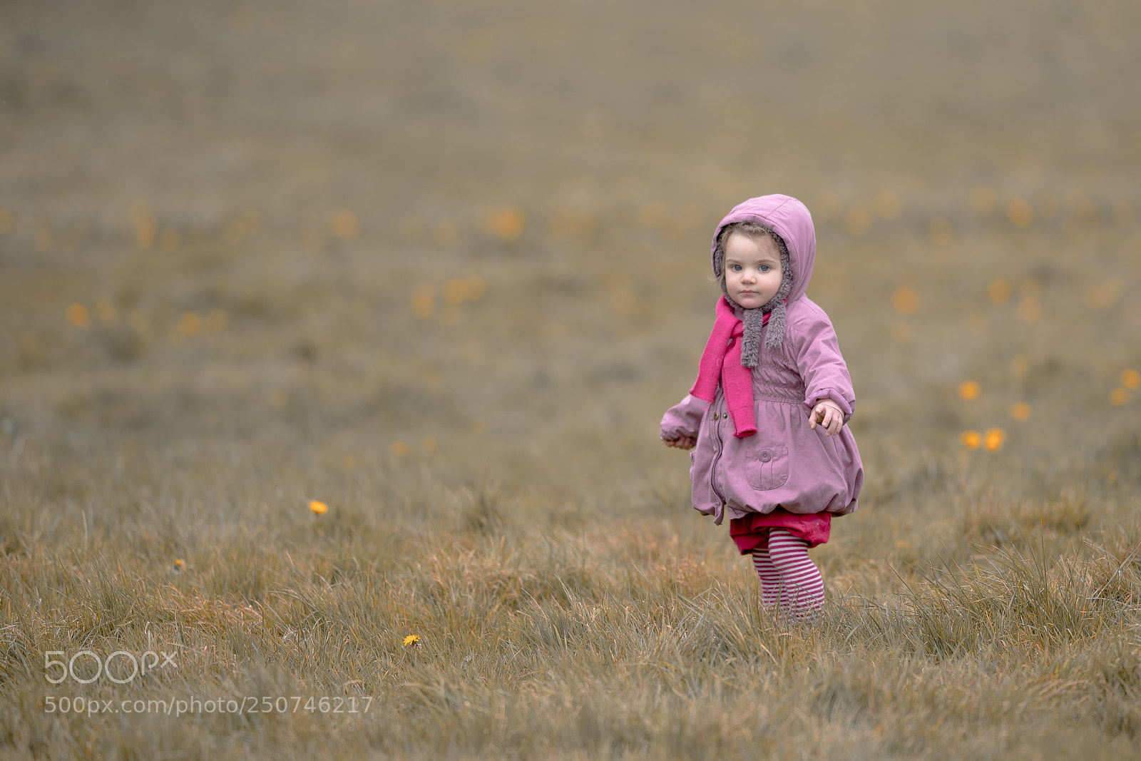 Sony a7R III sample photo. Dsc photography