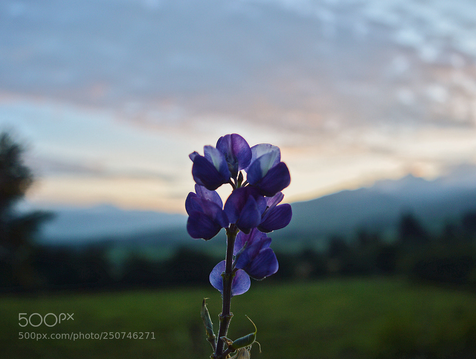 Nikon D3200 sample photo. Colors of nature photography