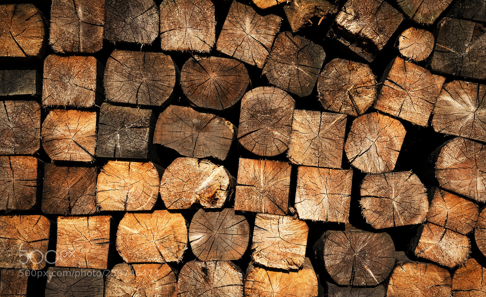 Nikon D5500 sample photo. Sawn wood fuel for photography