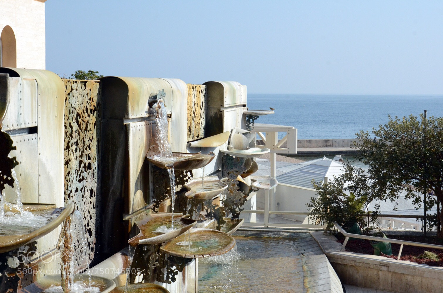 Nikon D7000 sample photo. Untitled photography