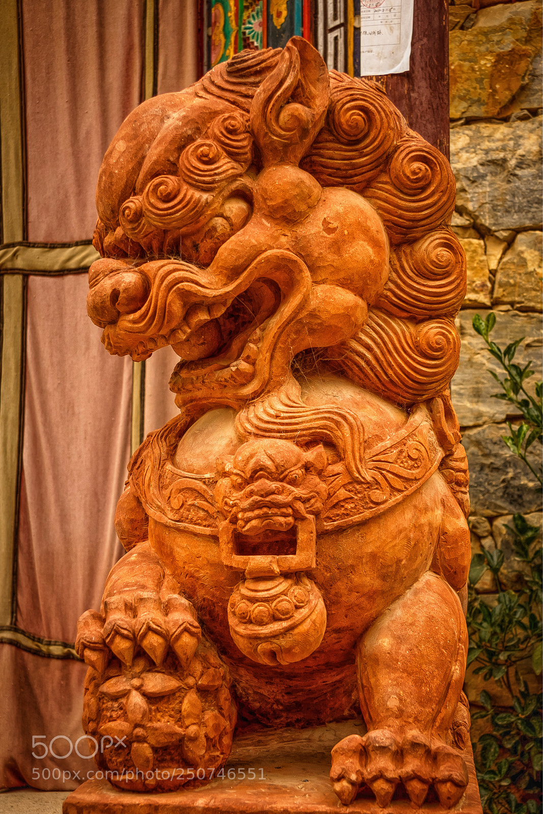 Canon EOS 40D sample photo. Le lion d'or photography